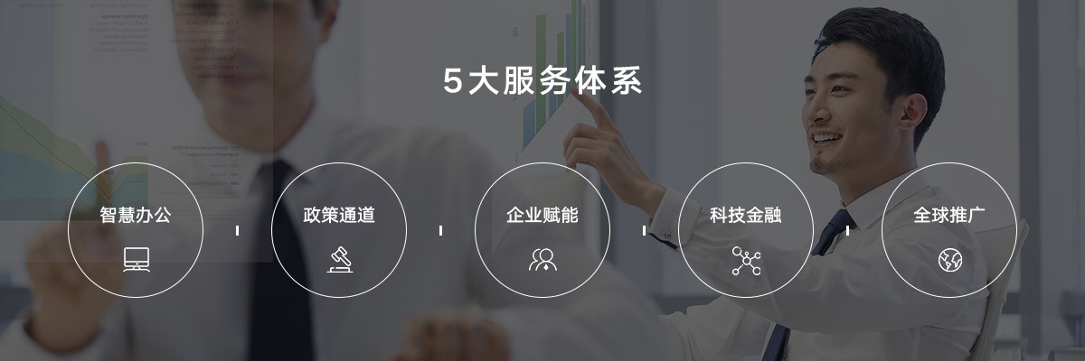 5大服务体系
